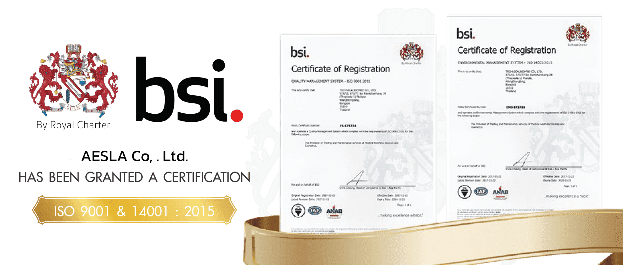 aesla bsi Certificate